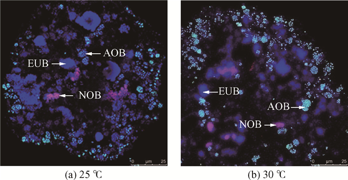 Figure3