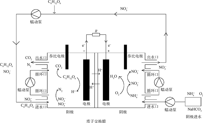 Figure1