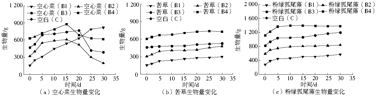 Cjee 201710013 t1