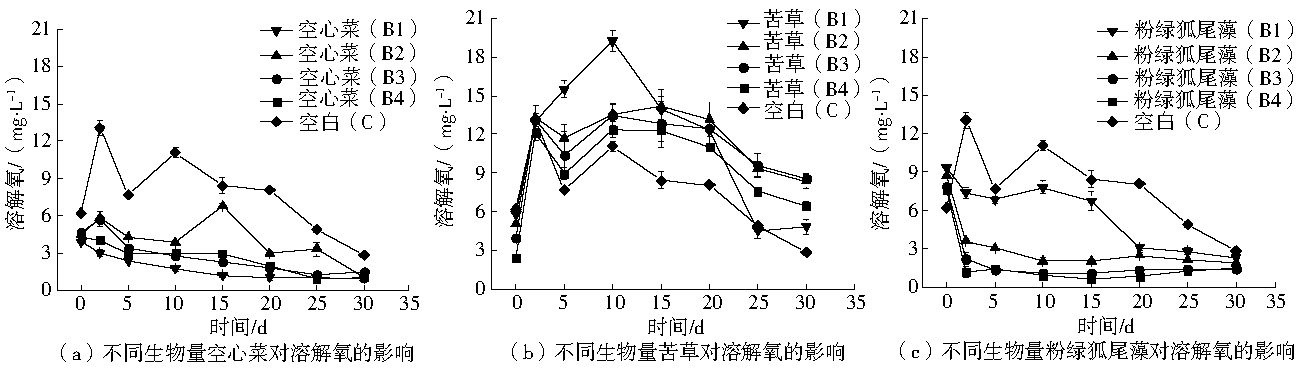 Cjee 201710013 t2