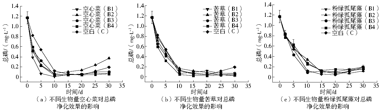 Cjee 201710013 t8