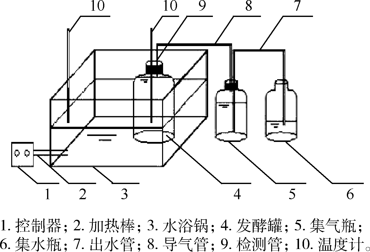 厌氧发酵装置主要由2个广口瓶(1 l)和1个锥形瓶(1 l)组成,分别作为